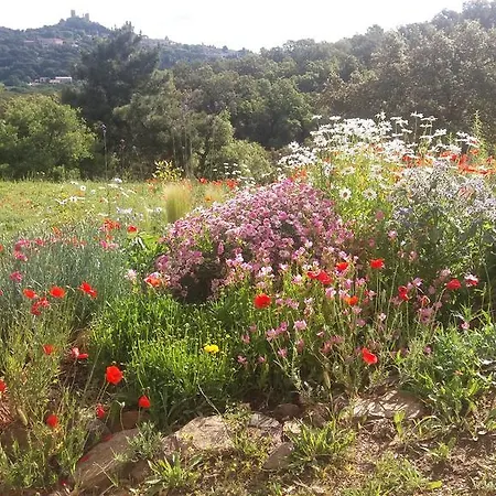 Vue Sur Grimaud Hébergement de vacances