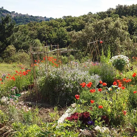 Gite Vue Sur Grimaud * Cogolin