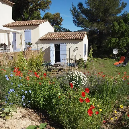 Gite Vue Sur Grimaud * Cogolin