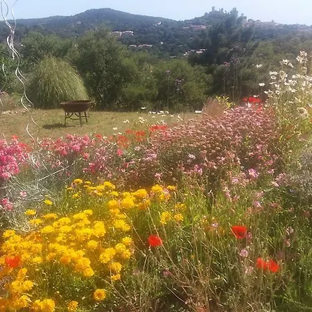 Gite Vue Sur Grimaud